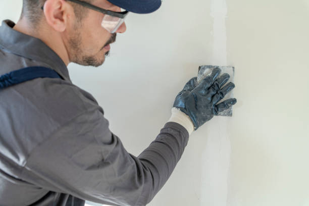 Best Drywall Crack Repair  in Oak View, CA